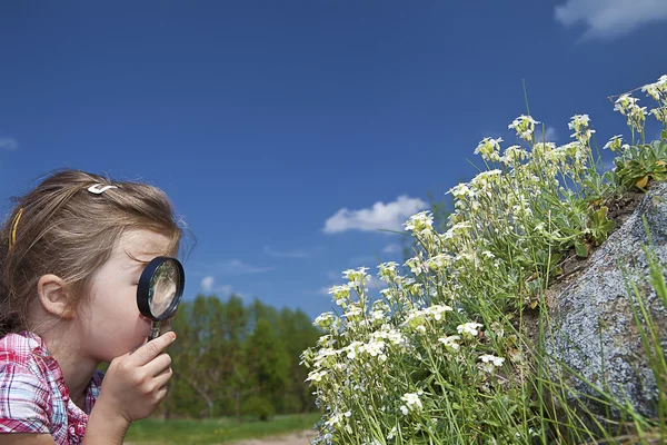 Weinig wetenschapper — Stockfoto