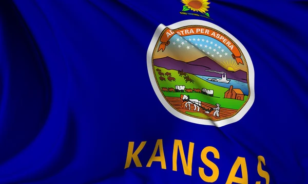 Kansas zászló — Stock Fotó
