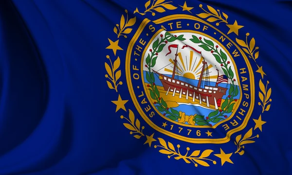 Neue Hampshire-Flagge — Stockfoto