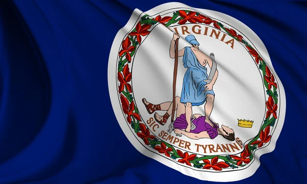 Virginia flag — Stock Photo, Image