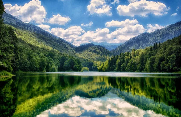 Lago Biograd Norte Montenegro Lago Glacial Localizado Montanha Bjelasica Dentro — Fotografia de Stock