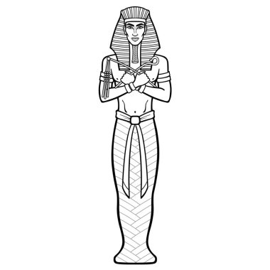 Animasyon portresi kraliyet eşarbındaki Mısırlı ve çapraz elli adam gücün sembollerini taşıyor. Firavun, Osiris, mumya. Vektör illüstrasyonu beyaz arka planda izole edilmiş. Yazdır, poster, tişört, dövme