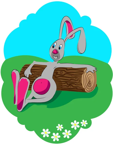 L'immagine mostra un coniglio — Vettoriale Stock