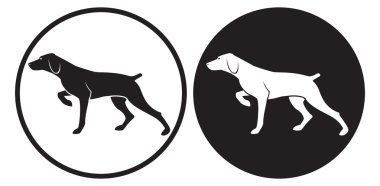 şekil bir av köpeği gösterir