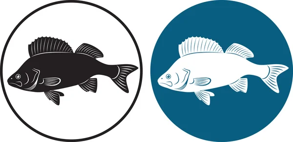 A figura mostra um peixe poleiro —  Vetores de Stock