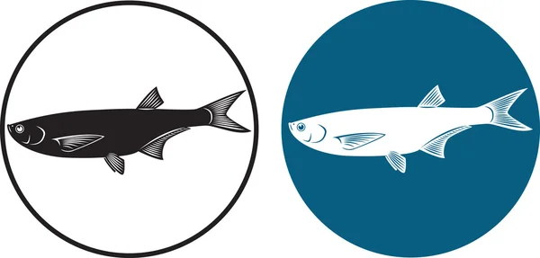 De afbeelding geeft de vis haring — Stockvector