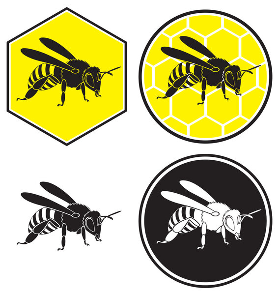 На рисунке изображена пчела
