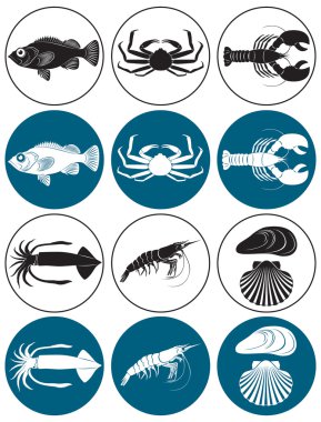 şekil deniz ürünleri tasvir