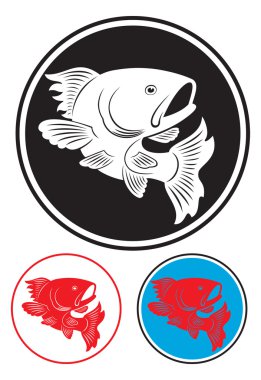 Koi balığı.