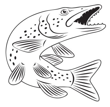 pike fish clipart
