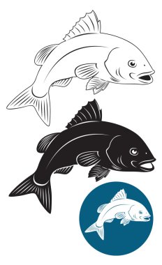 Balık snapper