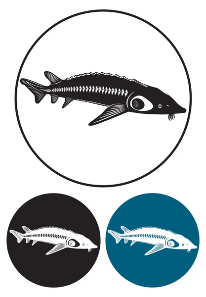 The figure shows the sturgeon — Stock Vector