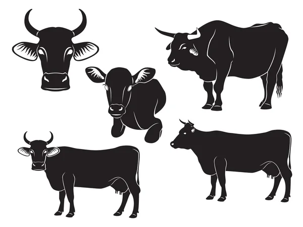 La figura muestra una vaca, un toro y un ternero — Vector de stock