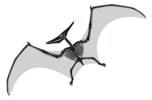 Ptérodactyle — Image vectorielle