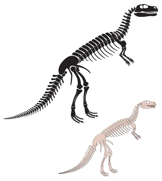 Скелет динозавра — стоковый вектор