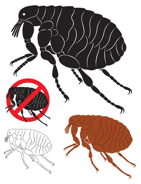 Pulga. — Archivo Imágenes Vectoriales