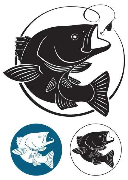 Sriped Bass — Stock Vector