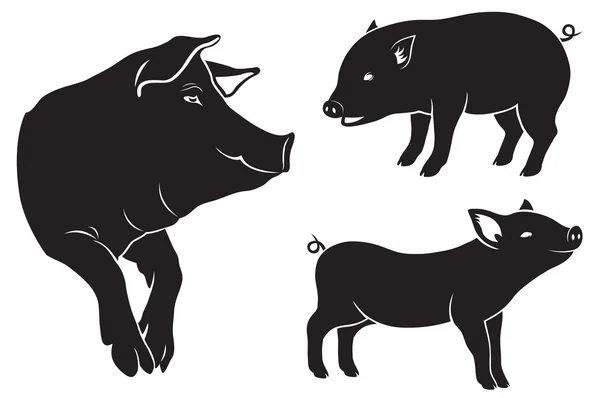 The figure shows a pig — Stock Vector