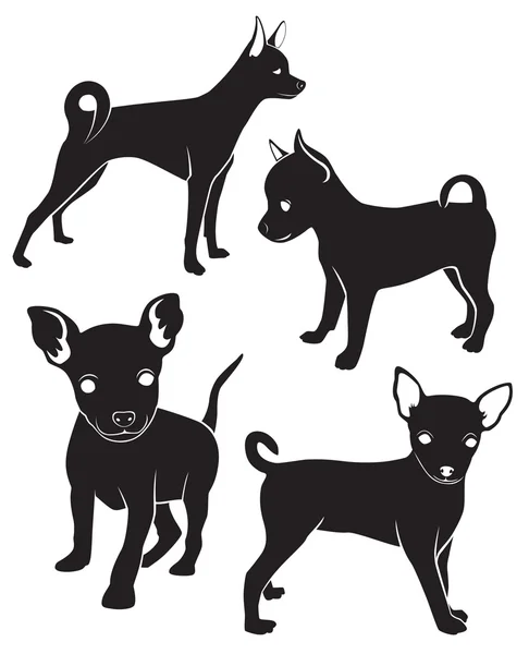 Terrier de juguete — Vector de stock