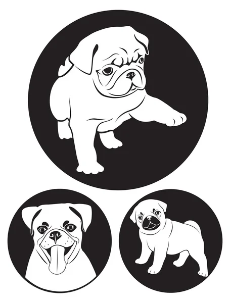 Pug-dog — Stock Vector