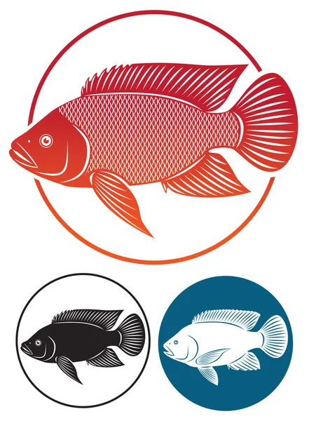 Tilapia — Vector de stock