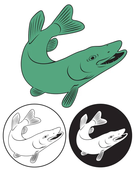 Hechtfische — Stockvektor