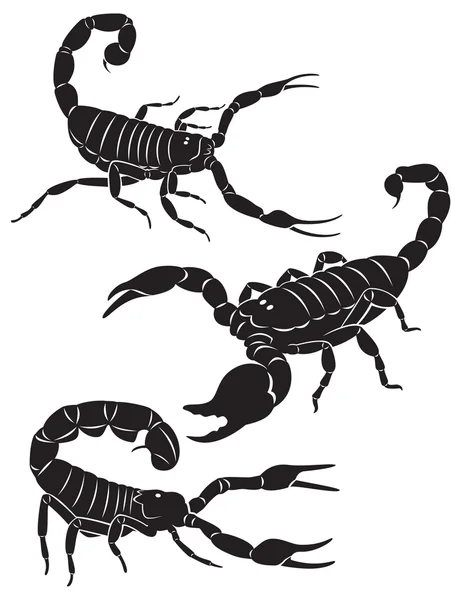 Scorpion — Stockový vektor