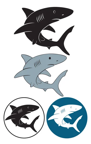 Shark — Stock Vector