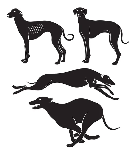 Jagdhunde — Stockvektor