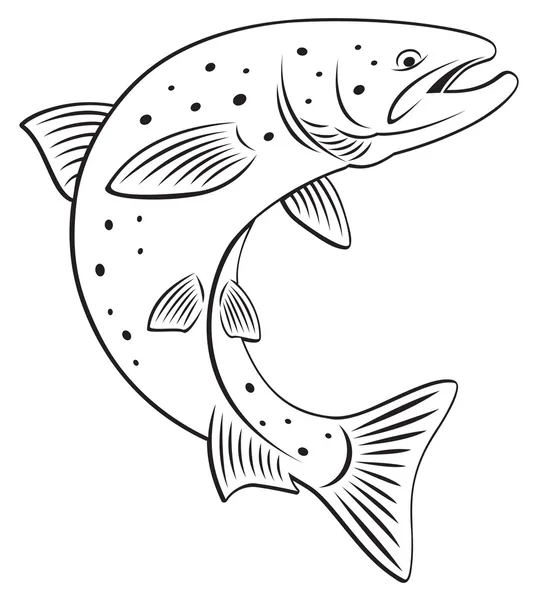 鲑鱼 — 图库矢量图片