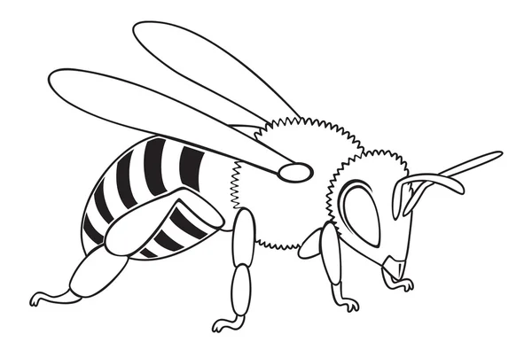 Obrázek ukazuje včela — Stockový vektor