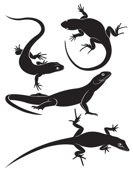 Lézard — Image vectorielle