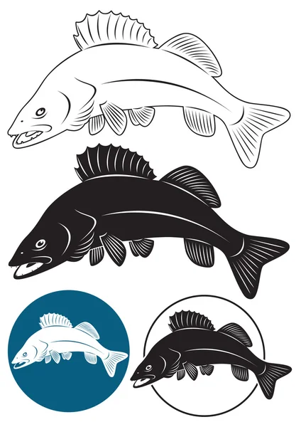 Occhio di pesce — Vettoriale Stock