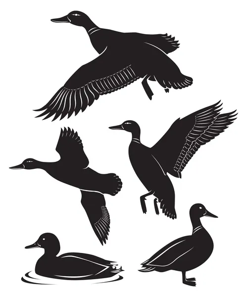 Duck hunting wallpaper Vector Art Stock