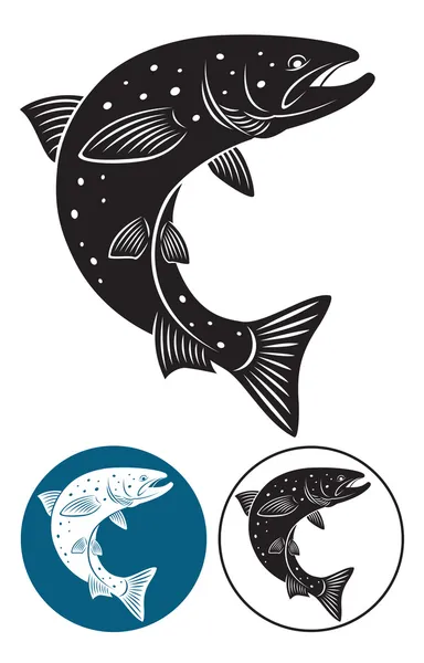Salmon — Stock Illustration Salmon Royalty Free Stock Illustrations