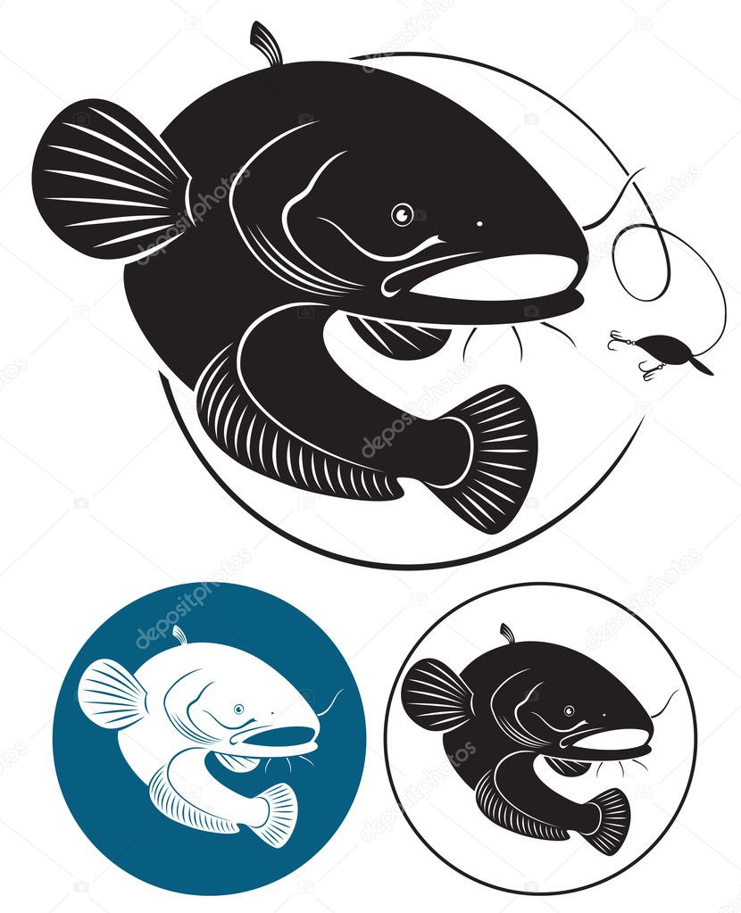 The figure shows a fish catfish