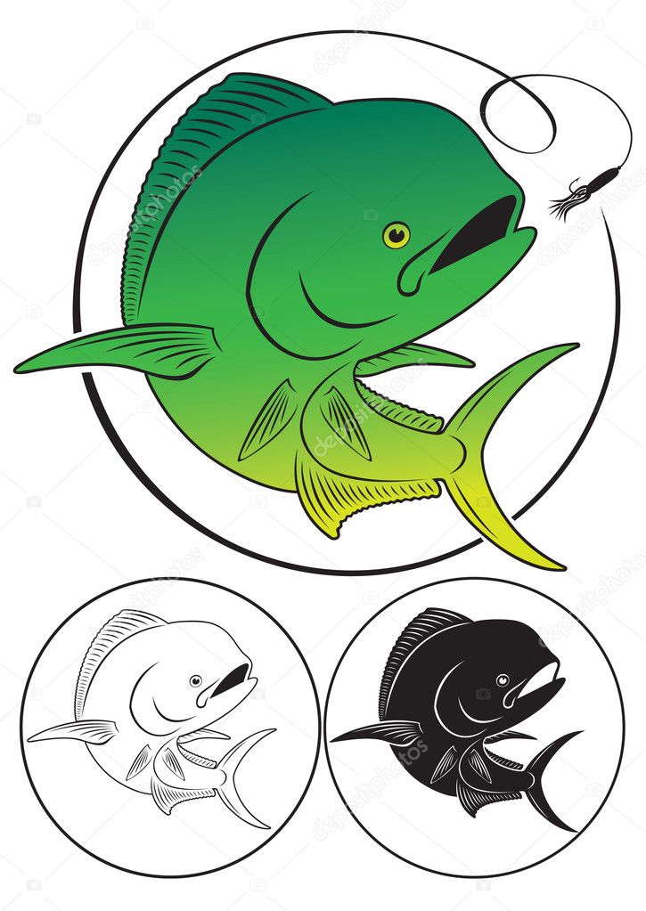 The figure shows a Dolphin fish