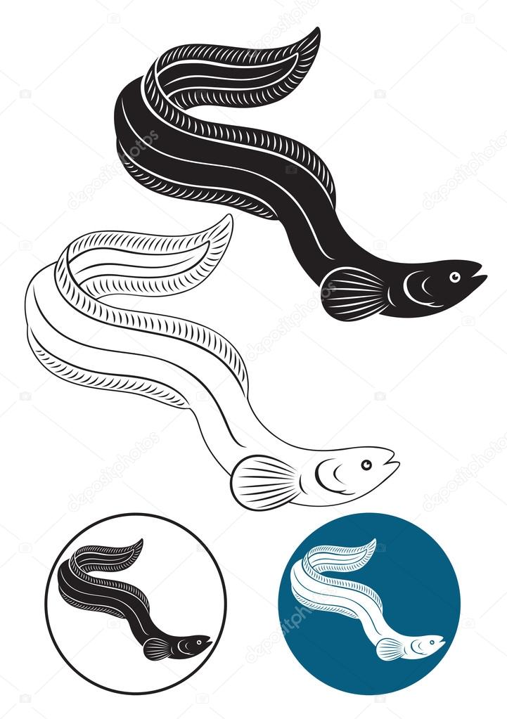The figure shows a fish eel