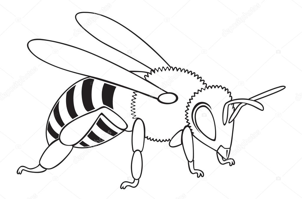 The figure shows a bee
