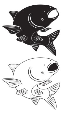 Balık asian carp şekil gösterir