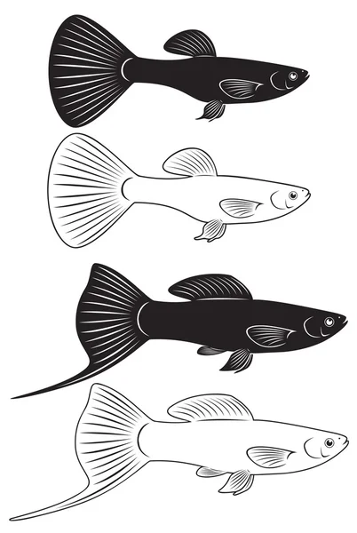 Peces de acuario — Vector de stock