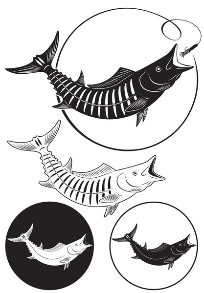 The picture shows the king mackerel