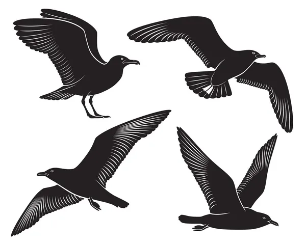 Gaviota — Vector de stock