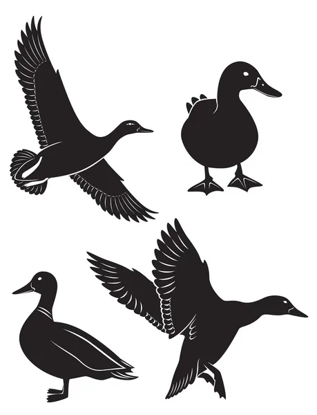 The figure shows the duck — Stock Vector