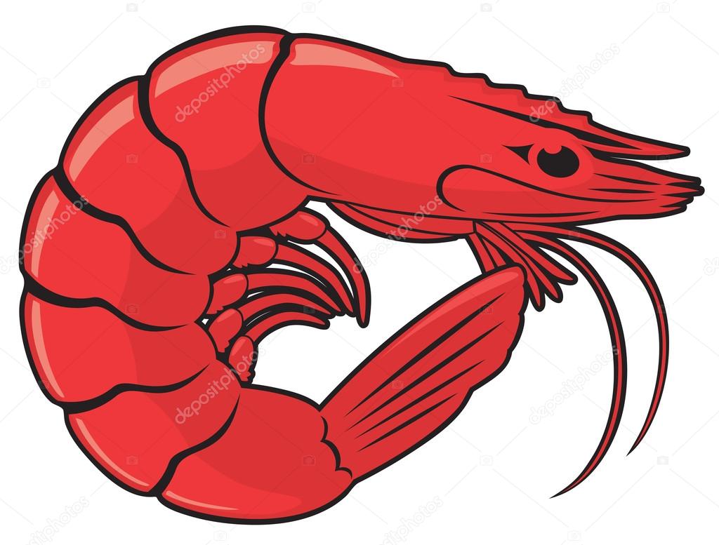 the figure shows a shrimp