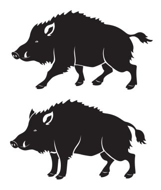 wild boar clipart