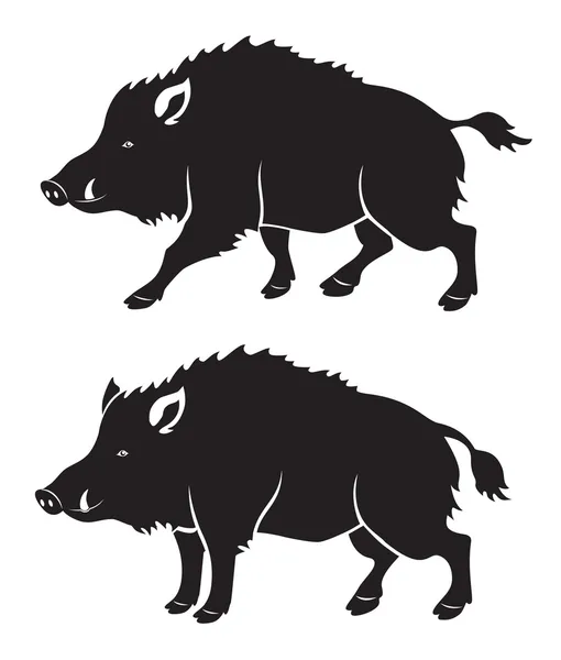 Wild boar — Stock Vector