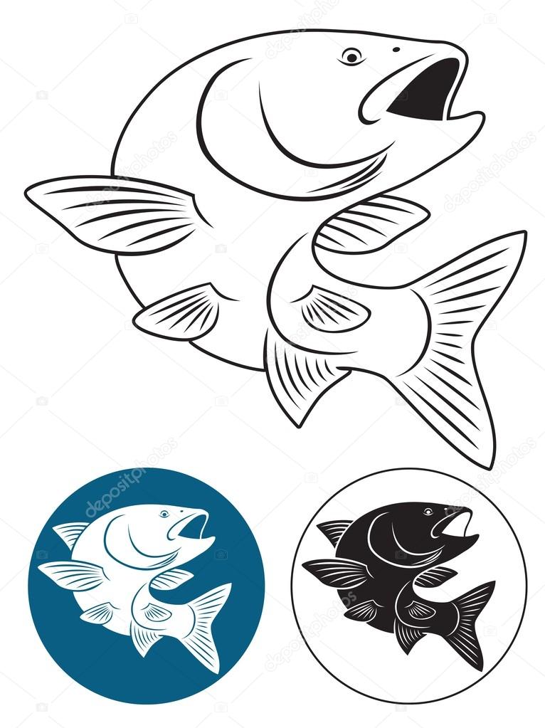 The figure shows a fish chub