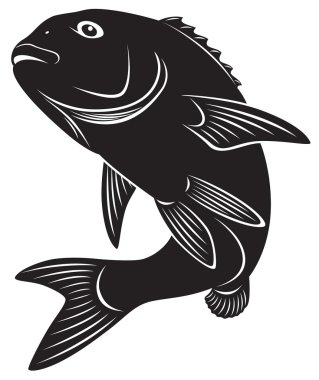 The figure shows sea bass clipart