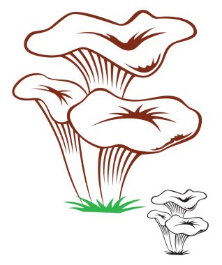 mantar şekil gösterir